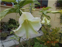ef7fd0c9-DSCN2290.JPG