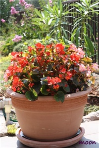 ef82cf89-IMG_2328.JPG