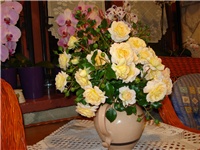 efae15c0-DSC07232.JPG