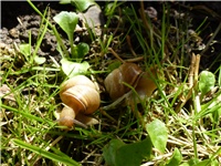 efe5af0d-P1040558.JPG
