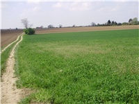 f09dae7f-P2090428.JPG