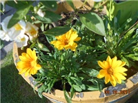 f0c4b05b-DSCN2274.JPG