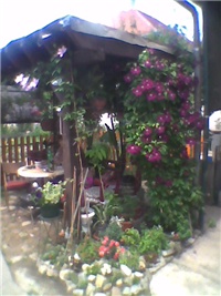 f0f32df3-Slika0089.jpg