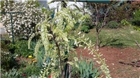f26109ce-20190418_103843.jpg