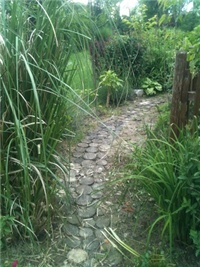 f2cee355-IMG_7092.JPG