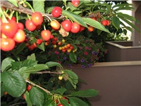 f361dff4-IMG_0630.JPG