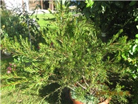 f40c79ea-035.JPG