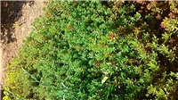 f47c4e74-P_20180422_104004.jpg