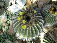 f4d4dbd7-029.JPG