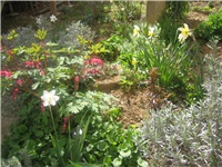f5459043-IMG_3608.jpg