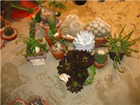 f584bada-IMG_2733.jpg
