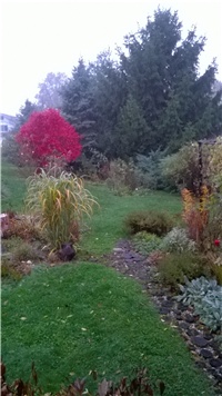 f58b9fbe-WP_20171107_001.jpg