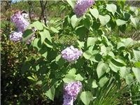f789fbda-IMG_3676.jpg