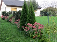 f853a959-056.JPG
