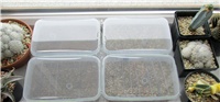 f8907393-023.JPG