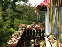 f8b6513d-IMG_3025.JPG