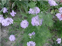 f9198b72-DSCI1337.JPG