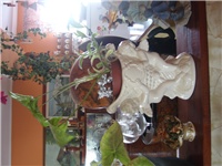 f9271dec-SL732693.JPG