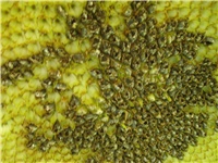 fad942e1-DSC06432.JPG