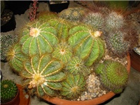 fafee789-IMG_2722.jpg