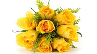 fb8638c1-bouquet-yellow-roses.jpg