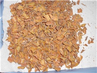 fc758e10-DSCI2222.JPG