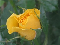fcbf7412-IMG_0565.jpg