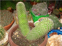 fd082b98-IMG_2713.jpg