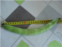 fd1b6f6d-DSC06356.JPG