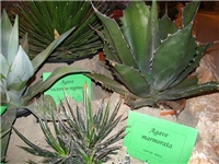 fe284e01-IMG_2696.jpg