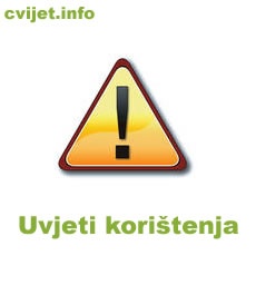 Cvijet.info - Uvjeti korištenja 