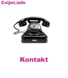 Kontakt