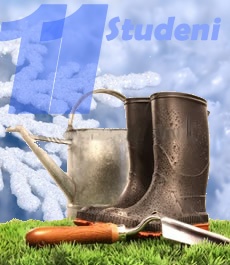 STUDENI - Radovi u vrtu 