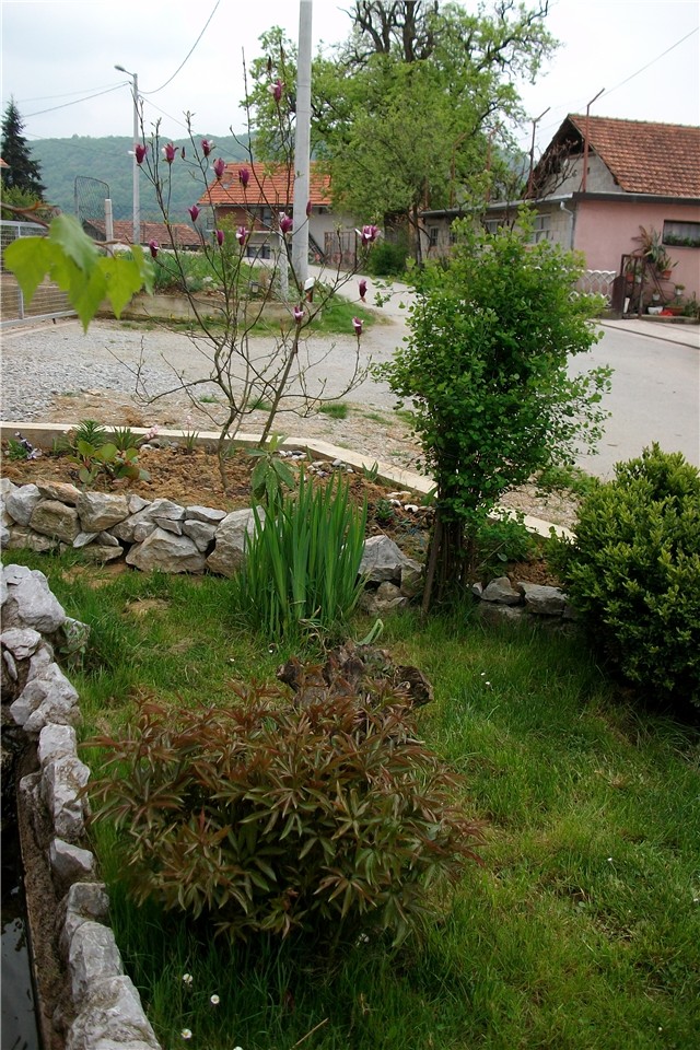 cvijeće