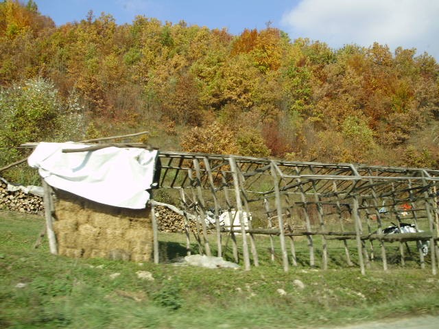 jesenje%20lišće
