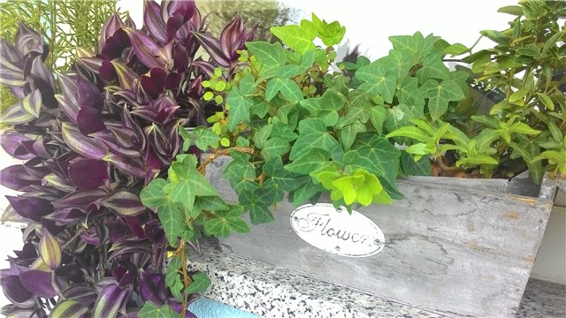 moj balkon