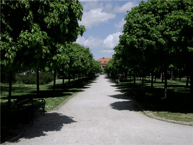 Koprivnica
