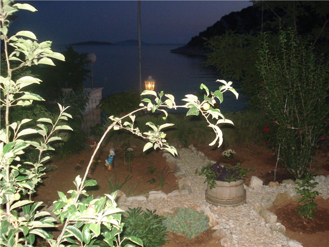 vrt u noći