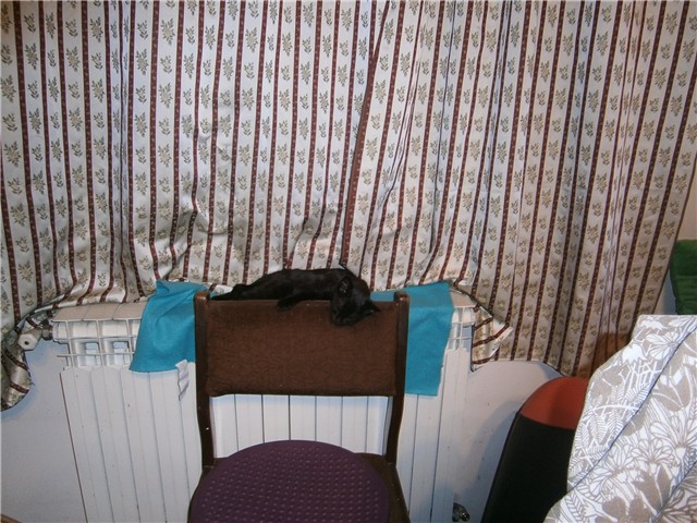 mucek