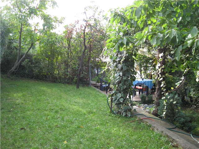 TRAVNJAK