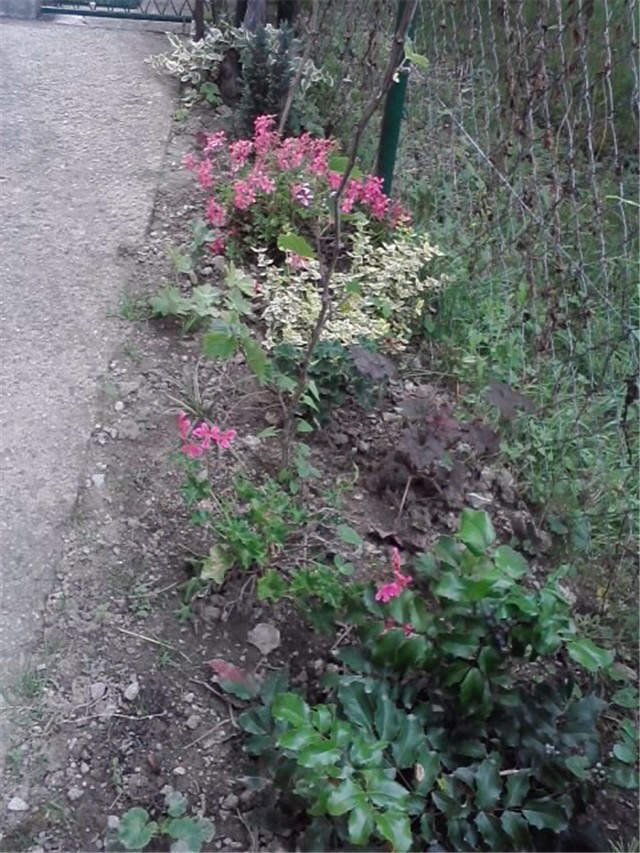 sjeverna strana detalji