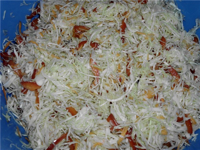 miješana salata za zimu