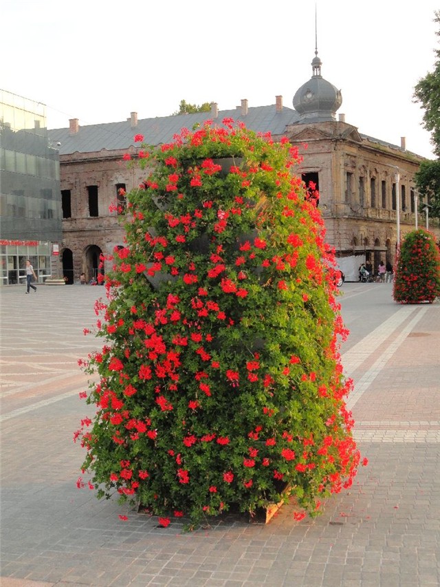 vukovar