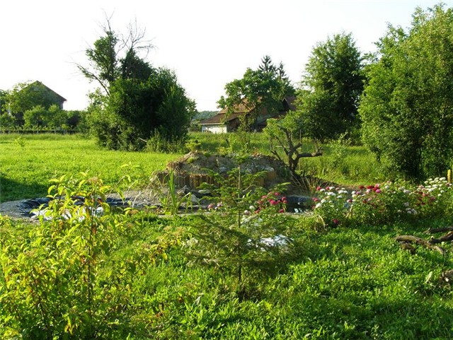 Bregec - kamenjar3