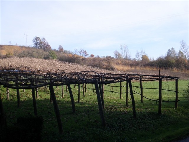 jesen, brajda