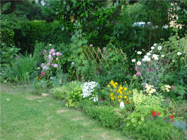 Moj vrt 2010