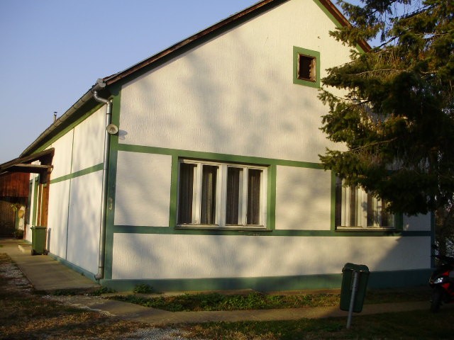 škola