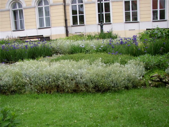 SlikeVarazdina