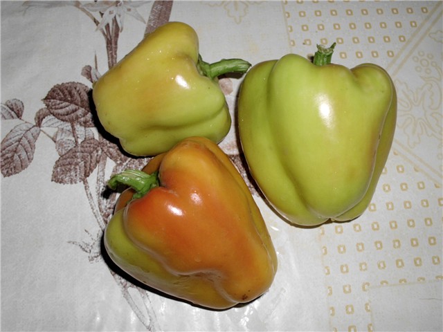 paprika