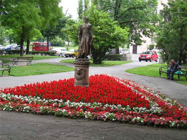 Osijek cvijece
